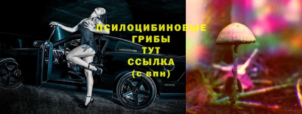 МДПВ Абаза