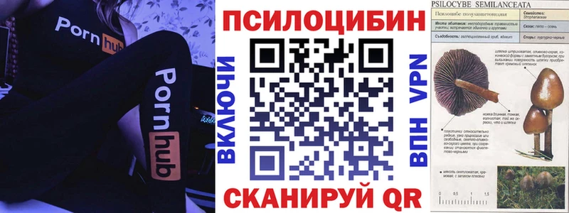 Псилоцибиновые грибы ЛСД Злынка